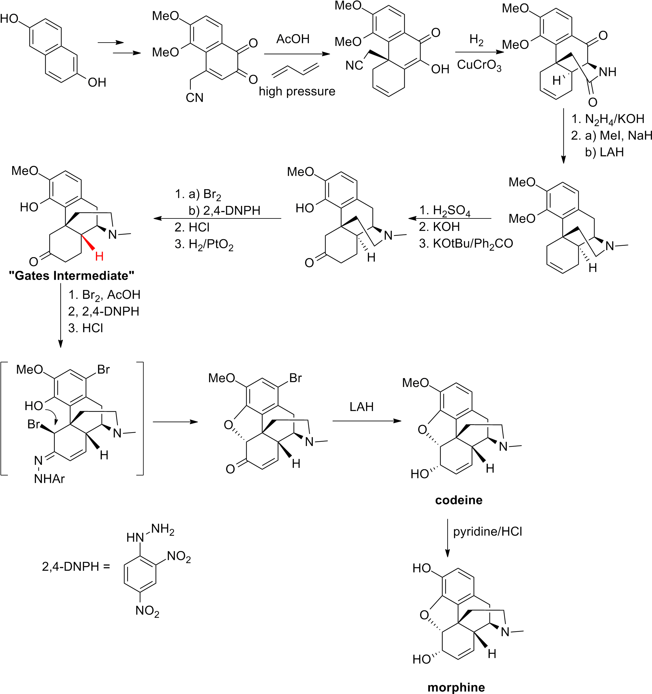 Gates Synthesis - Morphine Synthesis (2164x2303), Png Download