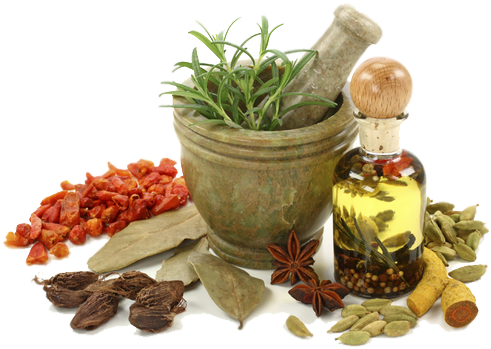 Uses Of Plants As Medicine (538x384), Png Download