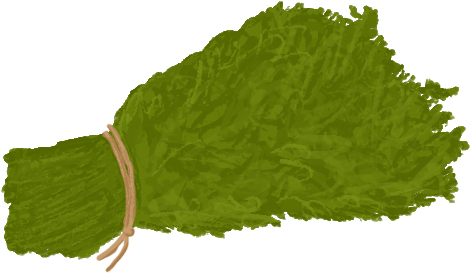 Herbs - Wiki (500x500), Png Download