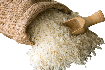White Rice Png Image With Transparent Background - Powerpoint Rice Template Free (450x280), Png Download