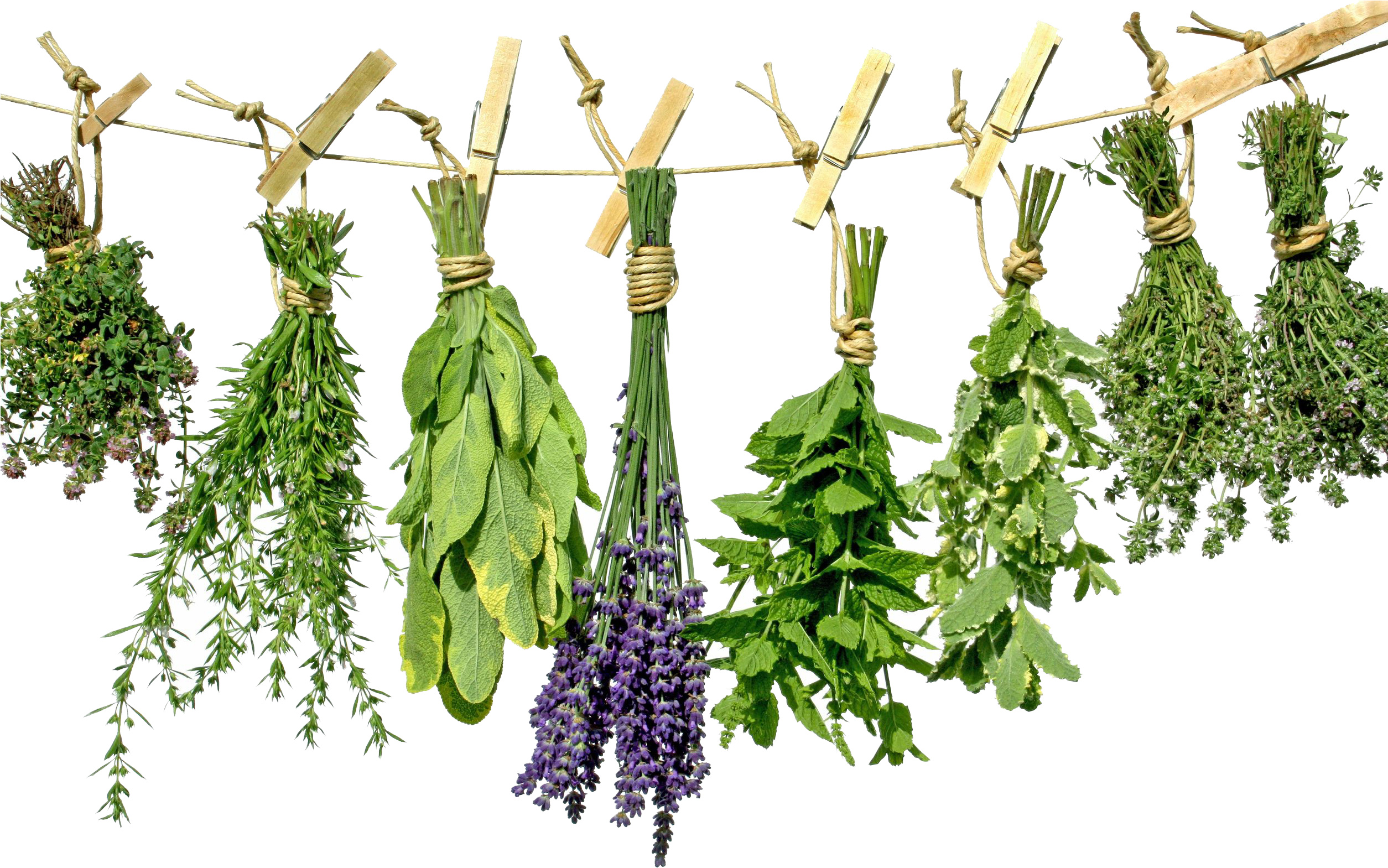Herb Garden (2508x1672), Png Download