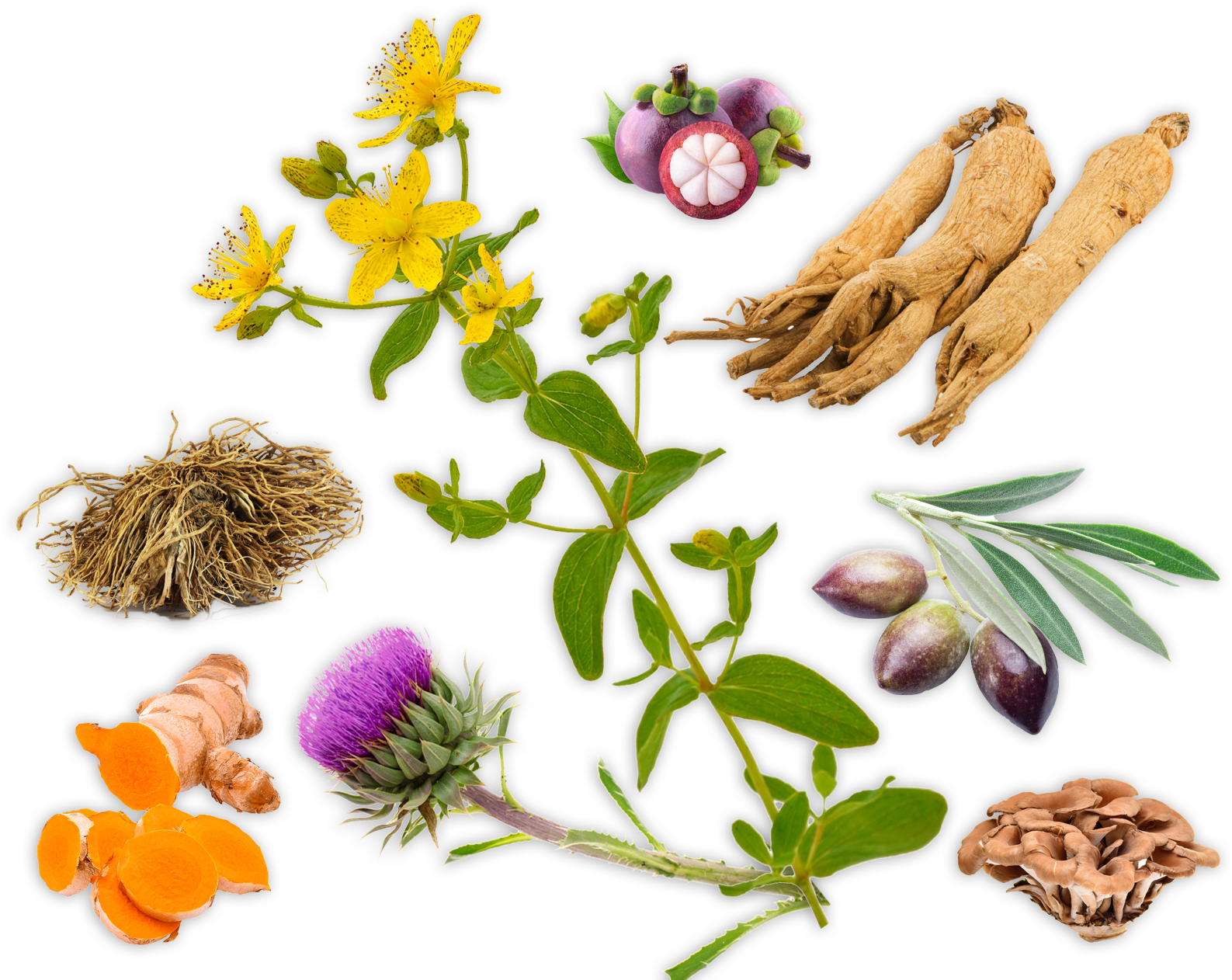 Better Health Through Natural Healing: How To Get Well (1600x1278), Png Download