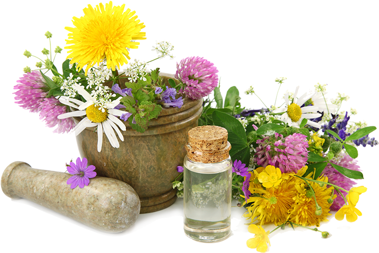 Enhance Your Relationship With The Natural World - Practical Herbal Medicine Handbook: Your Quick Reference (1080x517), Png Download