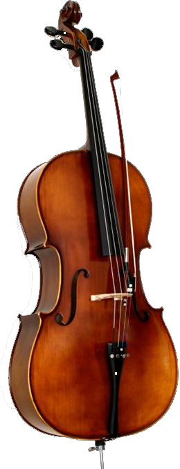 Cello - Example Of Chordophones (260x677), Png Download