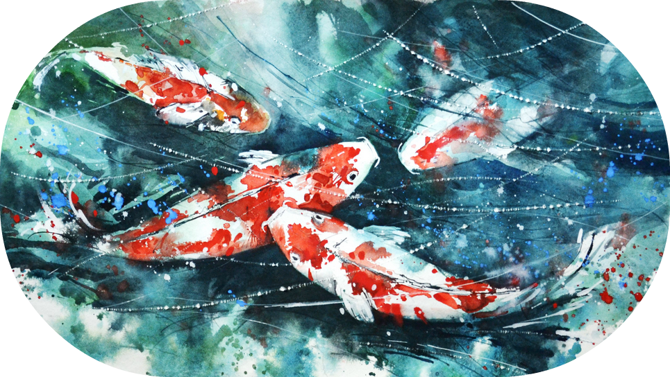 Kc - Koi Fish Watercolor (965x544), Png Download