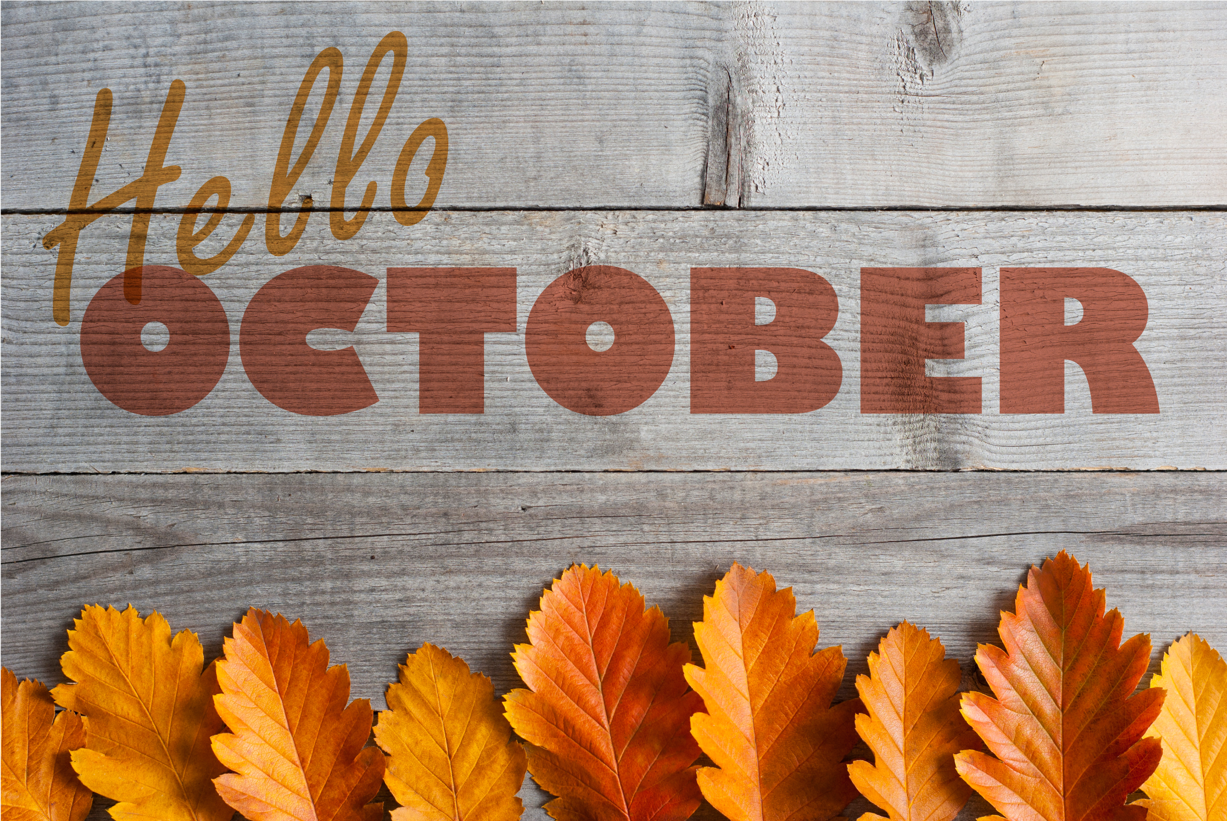 October - Lakehouserecoverycenter - Com - Hello October (3264x2448), Png Download