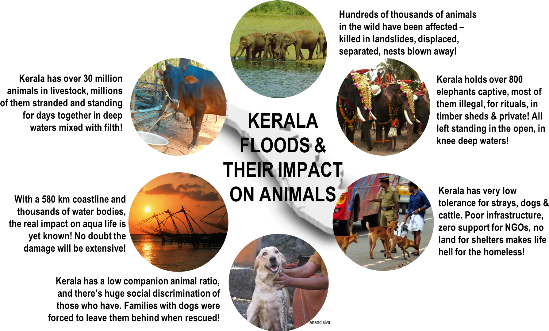 A Complexity Called Kerala In The Aftermath Of The - Kerala (1847x1081), Png Download