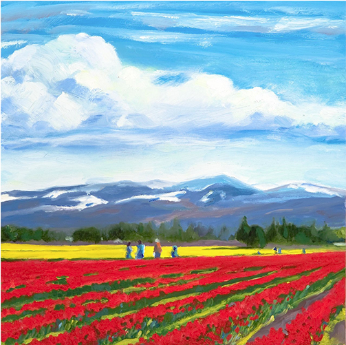 Slideshow Landscapes Pnw Skagit Tulip Field1 - Washington (740x500), Png Download