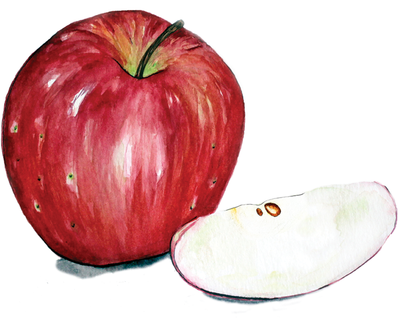 Apple 11 - Massachusetts (1000x639), Png Download