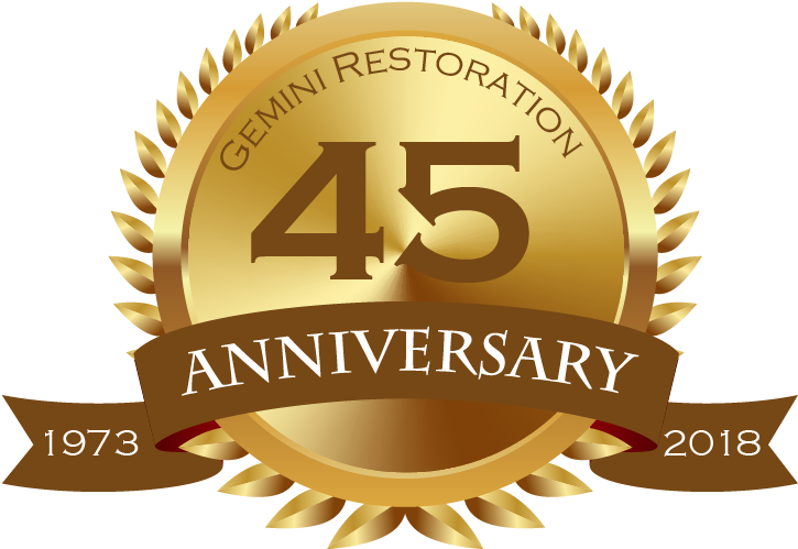 Gemini Restoration - 45th Anniversary - Stock Illustration (724x531), Png Download