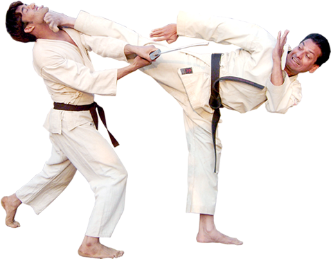 Read More - Ashihara Karate (500x445), Png Download
