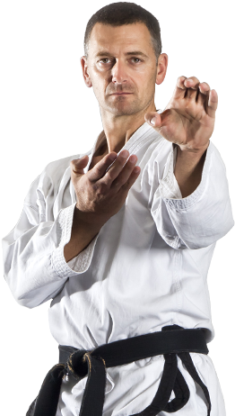Adult Martial Arts Program - Martial Arts (275x466), Png Download