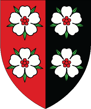 Arms-darius - Portable Network Graphics (362x434), Png Download