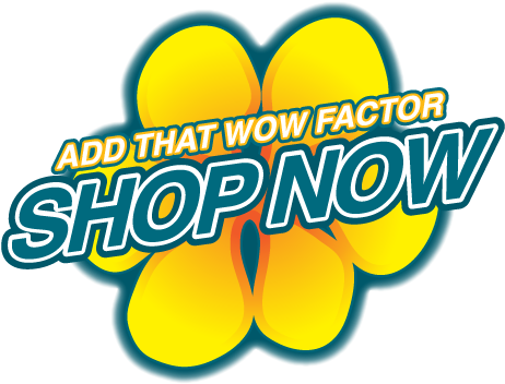 Shop Now - Portable Network Graphics (482x351), Png Download