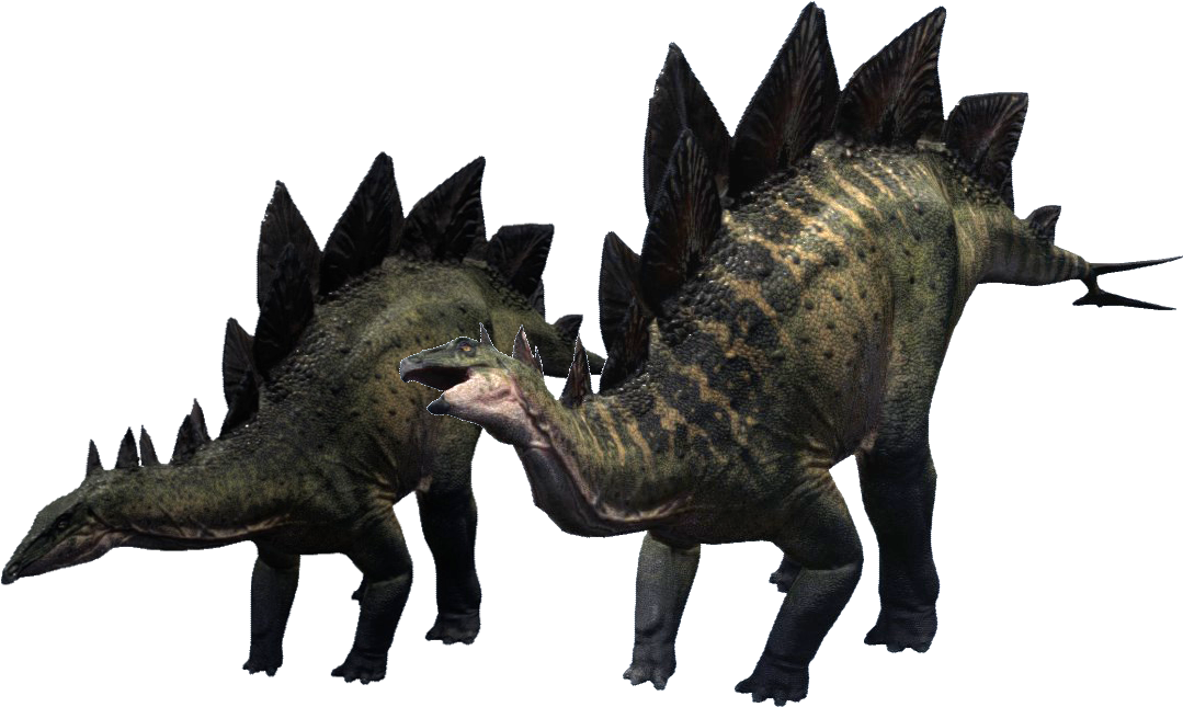 Stegosaurus Png Clipart - Dragon (1163x672), Png Download