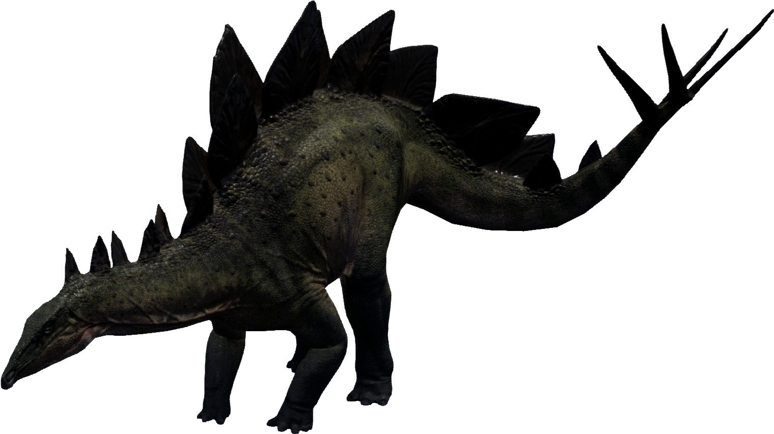 Stegosaurus - Stegosaurus The Isle (1590x947), Png Download