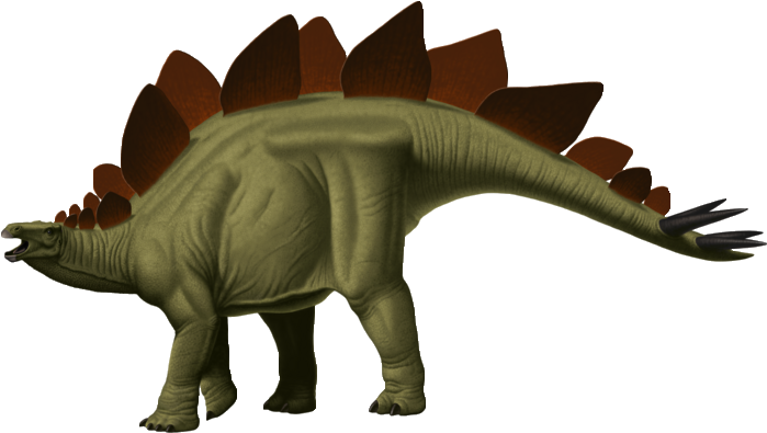 Stegosaurus Clipart Dinasour - Dinosaur Clipart Stegosaurus (700x404), Png Download