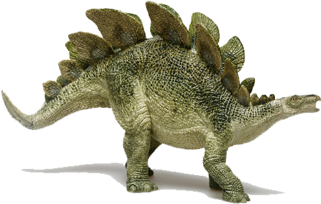 Stegosaurus - Dinosaur From Jurassic Period (500x500), Png Download