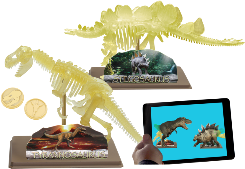 Ar Dinosaur Skeleton Museum - イーストコライト Ec28208 組み立て ステゴサウルス スケルトン 蓄光 (1000x683), Png Download