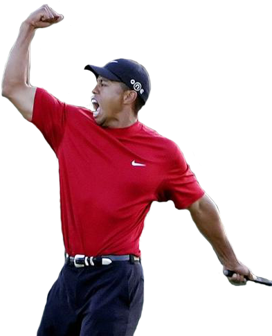 [ Img] - Tiger Woods Cut Out (429x495), Png Download