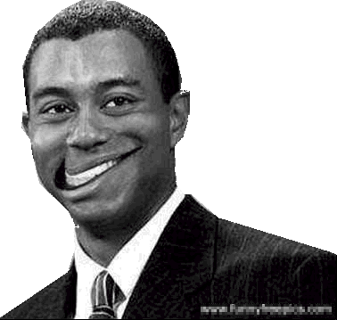 Otw - Tiger Woods Nike Swoosh (378x359), Png Download