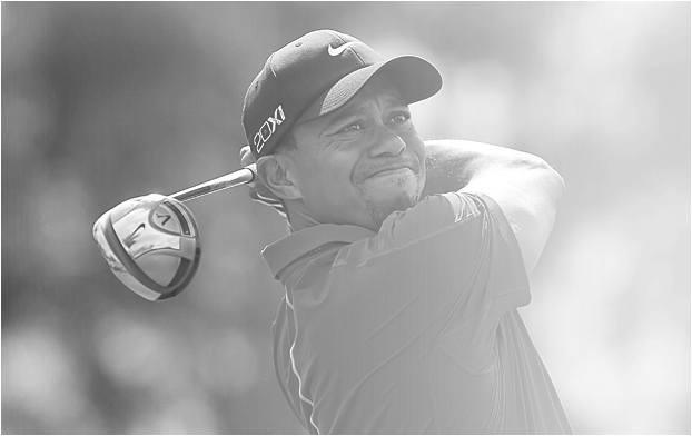 Tiger Woods (622x392), Png Download