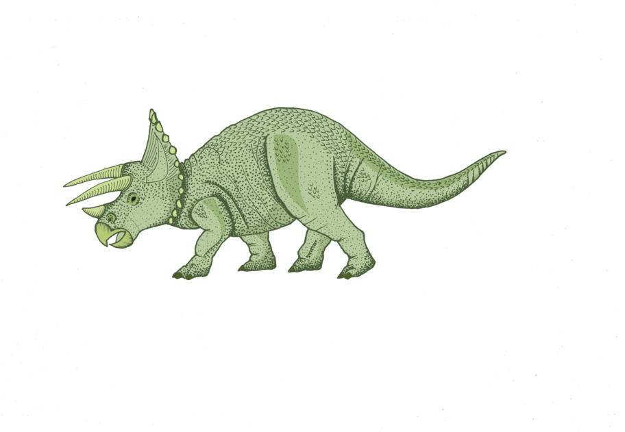 Triceratops For Map - Triceratops (1000x707), Png Download