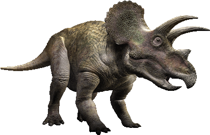 The Crown Of The Male Triceratops Was Larger Than The - Triceratops (823x472), Png Download