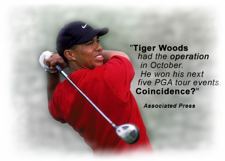 Tiger Woods Had Very Poor Vision Until He Chose To - Buzz On Golf [book] (456x327), Png Download