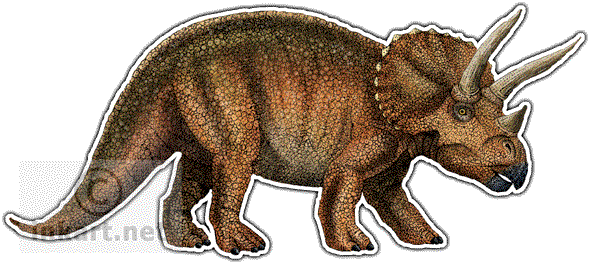 Triceratops Decal - Herbivore Dinosaurs (590x264), Png Download