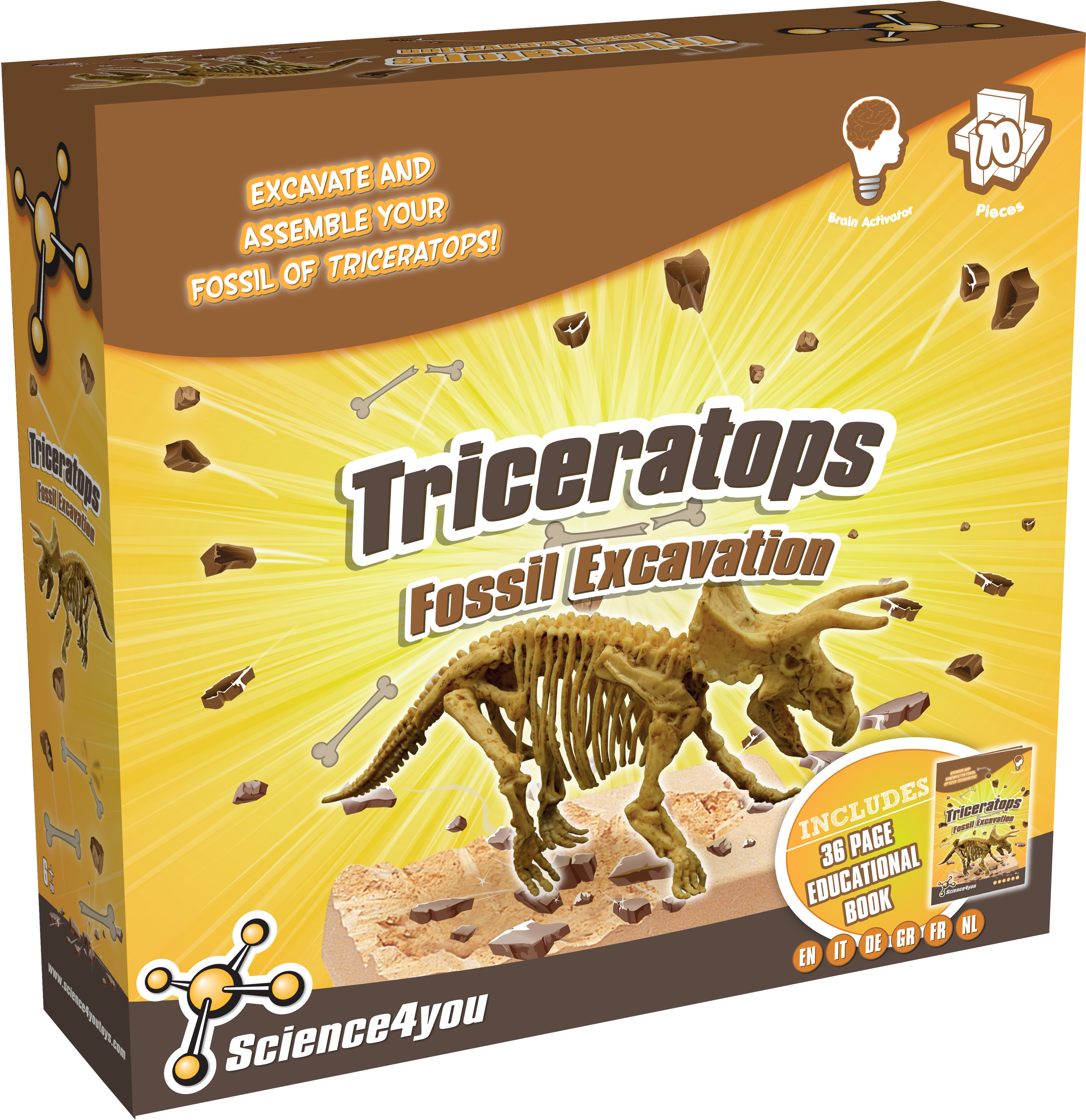 Fossil Excavation Triceratops (3549x3645), Png Download