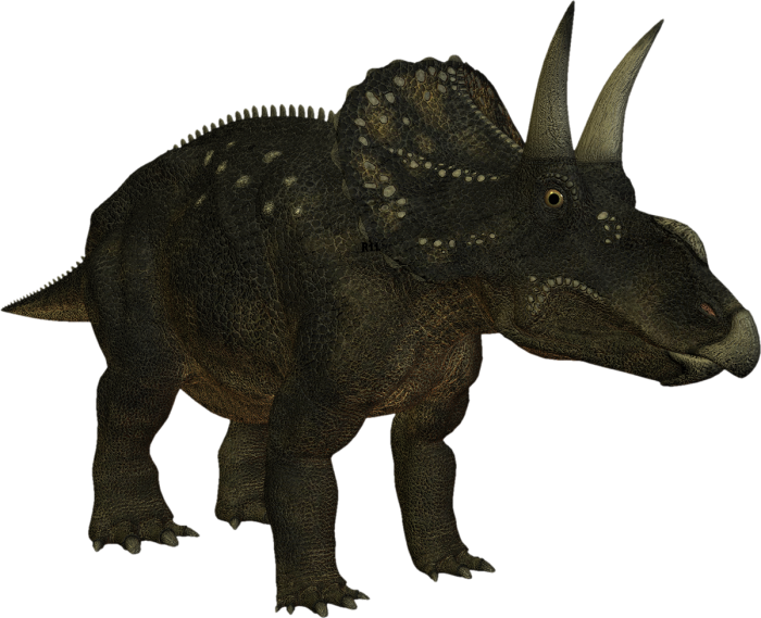 Dinosaur (700x569), Png Download