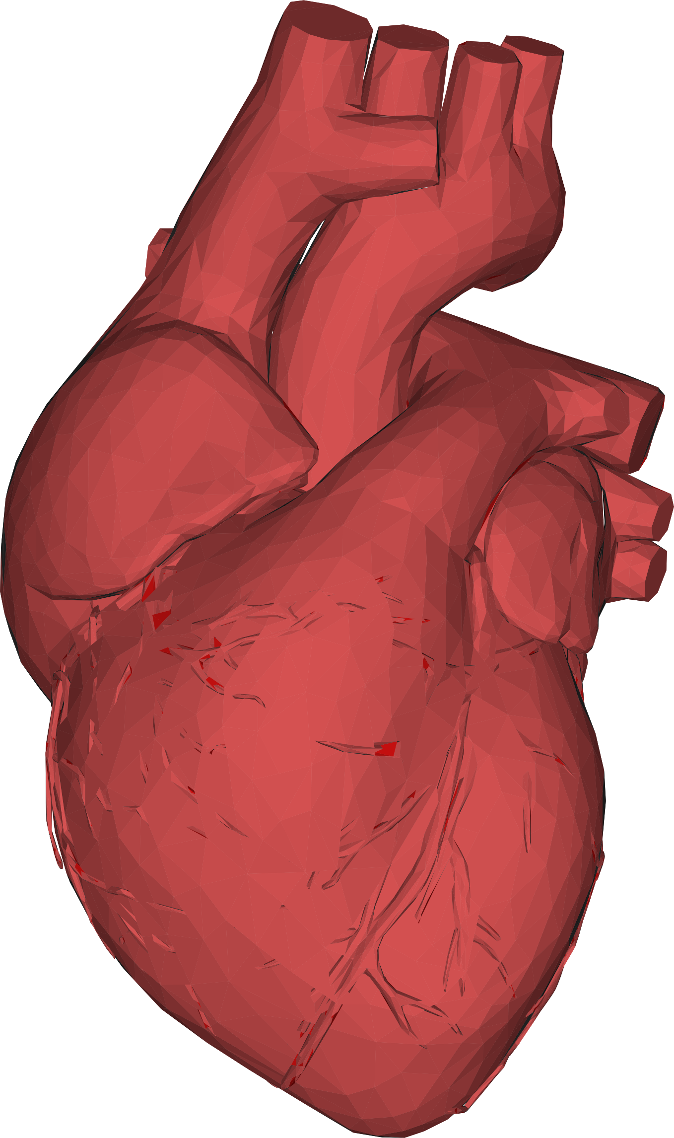 Low Poly 3d Heart Red Png Black And White - Corazon Organo Png (1358x2292), Png Download