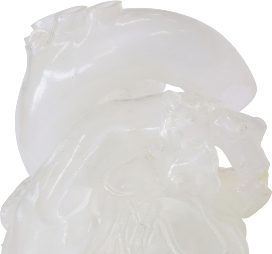 Super Flexible 3d Heart & Organ Models - Organ (555x518), Png Download