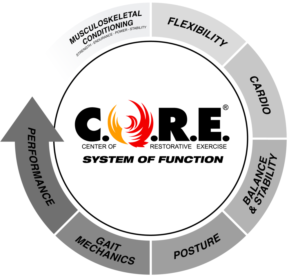 Strength Sof 2017 - Function (1000x962), Png Download