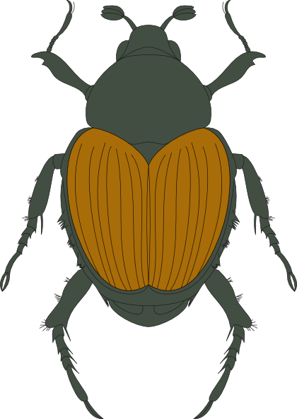 How To Set Use Green And Brown Beetle Icon Png (420x593), Png Download