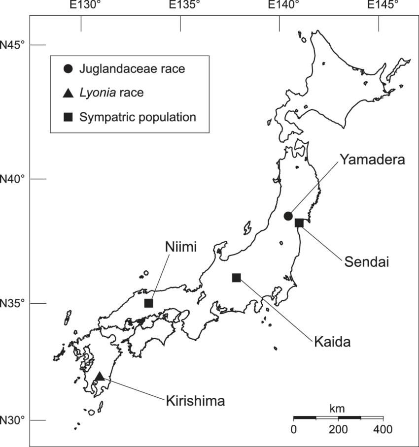 Map Of Japan Showing The Sampling Localities Of Acrocercops - Diagram (850x908), Png Download