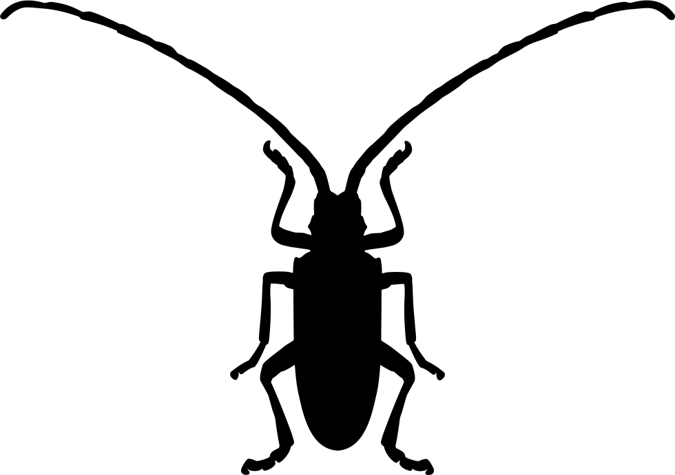 Fungus Beetle Insect Shape Comments - Beetle (980x690), Png Download