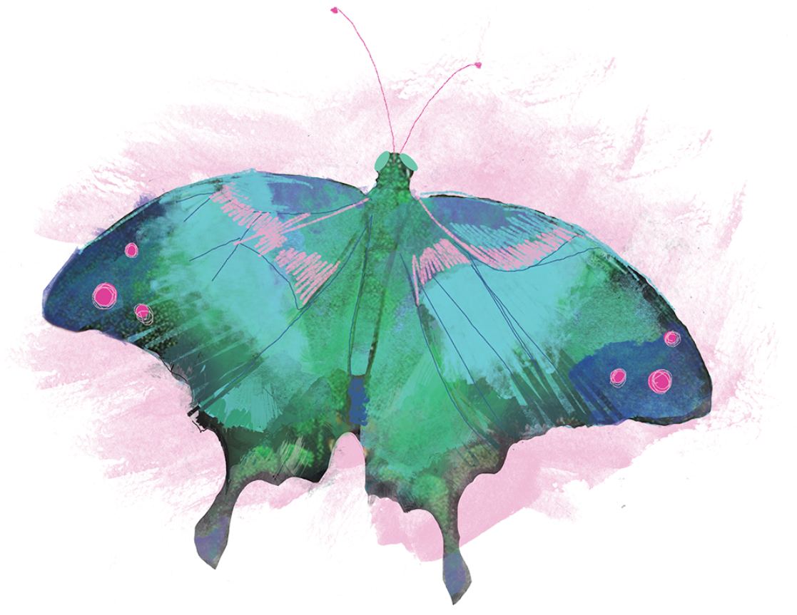 Task 5 Png Superb Designers - Papilio (1536x1536), Png Download