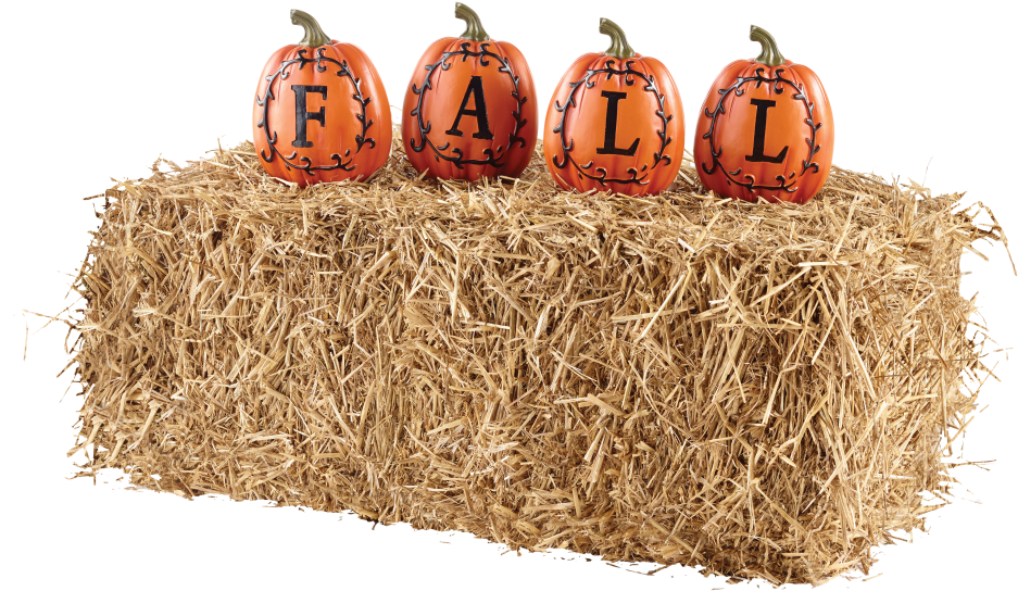 Pumpkin (1000x763), Png Download