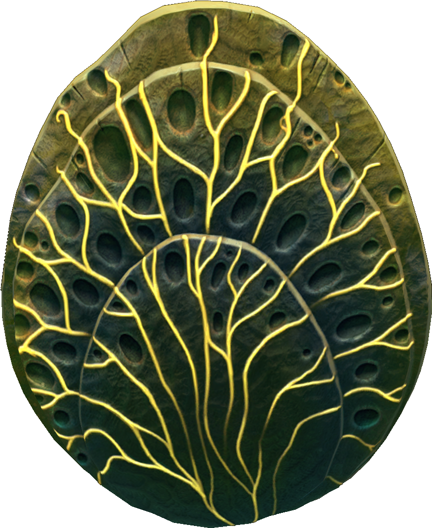 Shell Plate Fauna - Fauna (1080x1080), Png Download