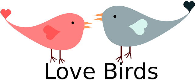 Heart, Love, Birds, Bird, Hearts, Valentine, February - Love Birds Valentines (640x320), Png Download