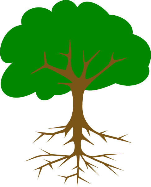 28 Collection Of Big Tree Clipart Png - Big Tree Clip Art (486x600), Png Download