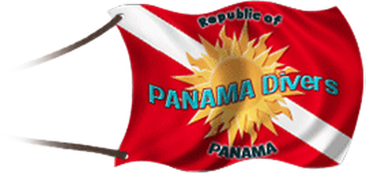 Download Flag Full Size PNG Image PNGkit