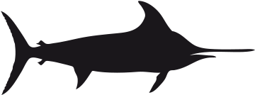 Order - Swordfish (500x500), Png Download