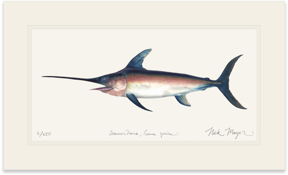 Swordfish - Art (1023x664), Png Download