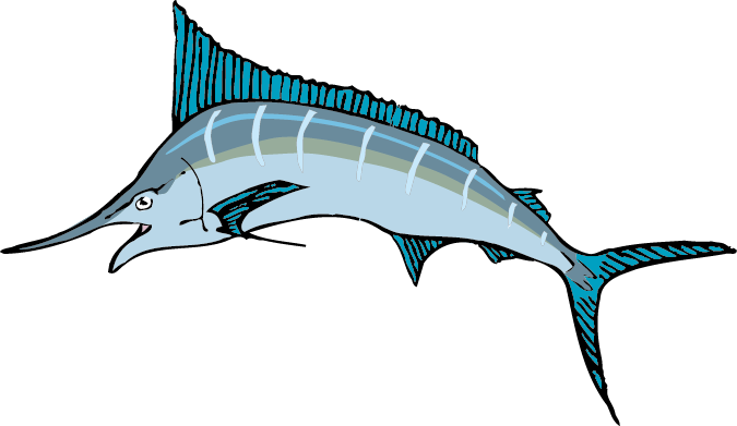 Clipart Royalty Free Sailfish Vector Blue Marlin - Sailfish Clipart (675x391), Png Download