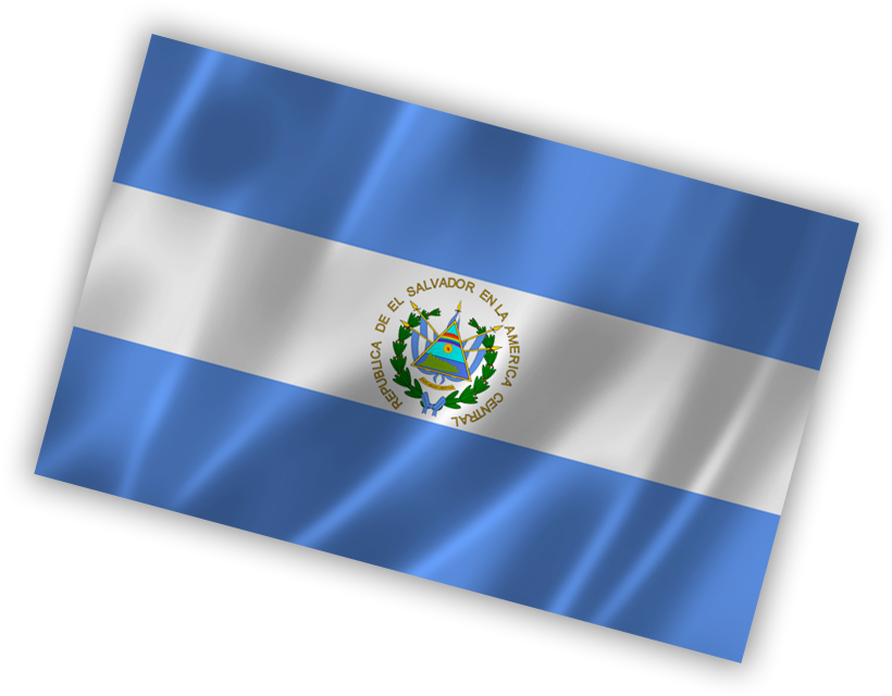 Skynet Worldwide Express La Alianza Que Entrega - Flag (886x706), Png Download