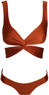 Palma Terracota Bikini - Bikini (450x450), Png Download
