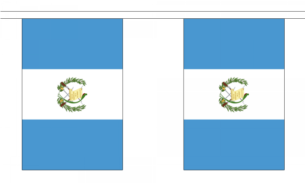 Guatemala Flag Bunting - Guatemala Flag (600x600), Png Download